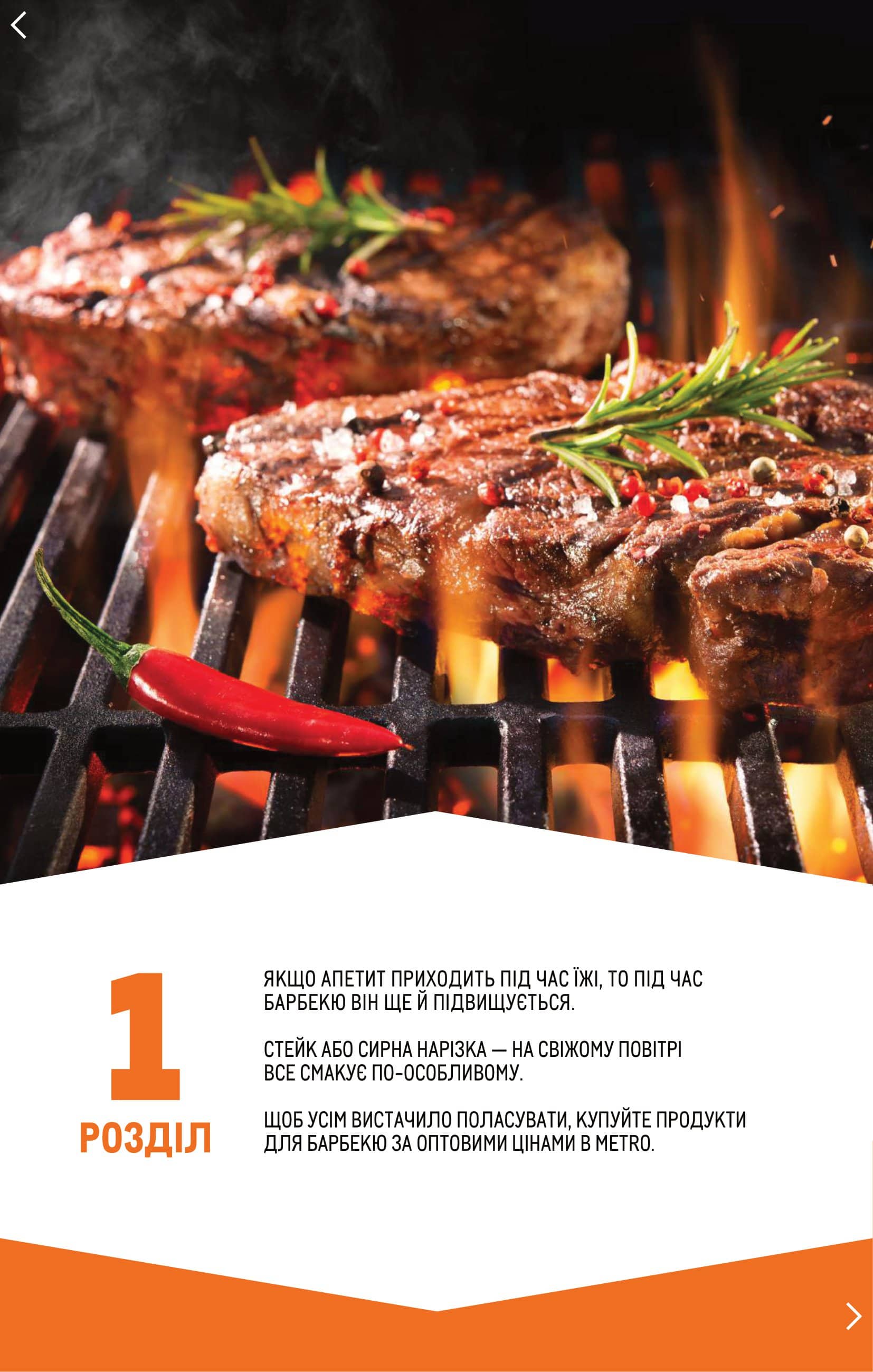 Metro - Catalog of optocultural barbecue - 3